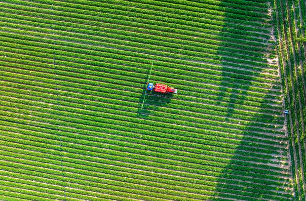 Pesticides : une carte interactive pour mieux comprendre la qualit&eacute; de l'air