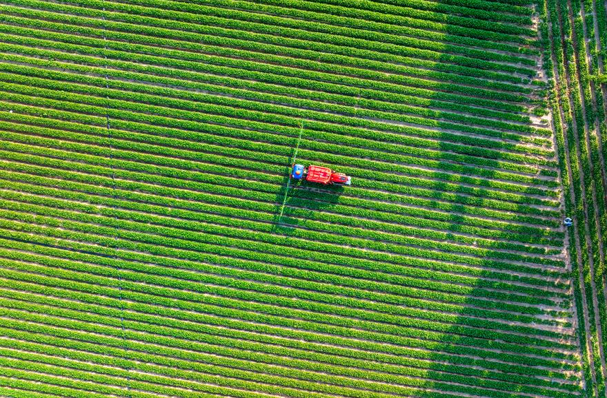 Pesticides : une carte interactive pour mieux comprendre la qualit&eacute; de l'air