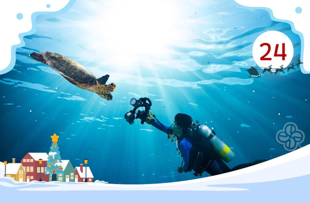 Conseils pour commencer la plongée