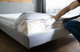 Punaise de lit : plus d'un foyer sur dix a déjà été infesté
