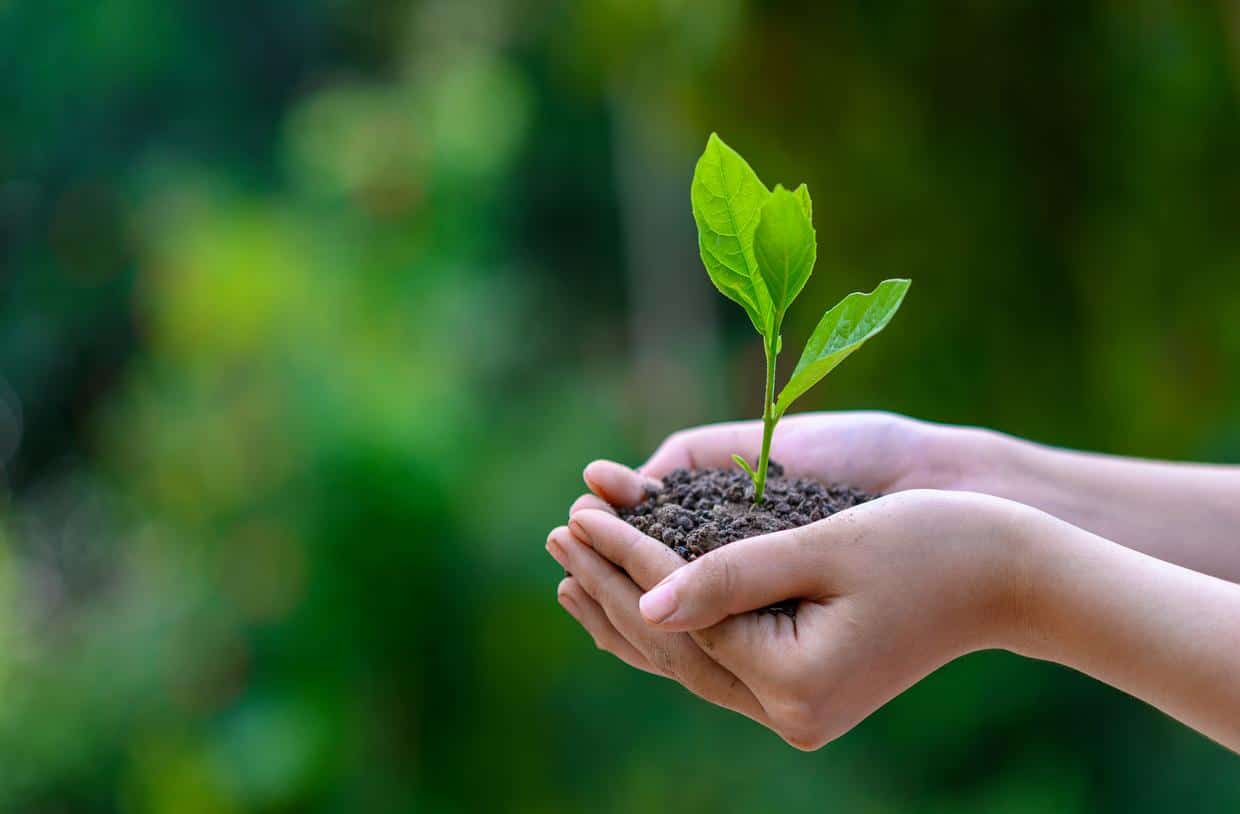 Environnement : les Français freinés par leur pouvoir d'achat ?