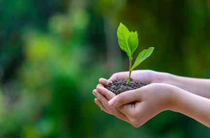 Bonnes pratiques environnementales : le pouvoir d'achat demeure un frein important