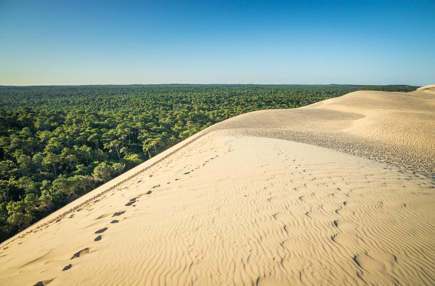 Incendies en Gironde : le relogement sera pris en charge
