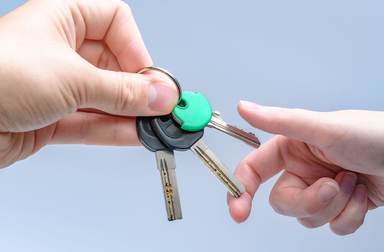 Solvabilité locataire